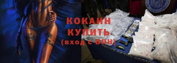 крисы Магас