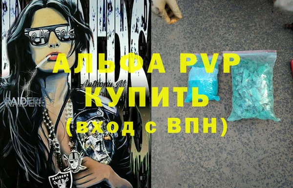 крисы Магас