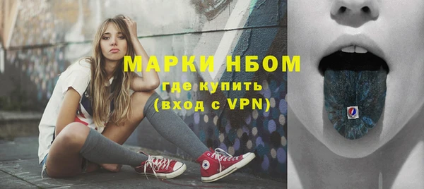 крисы Магас