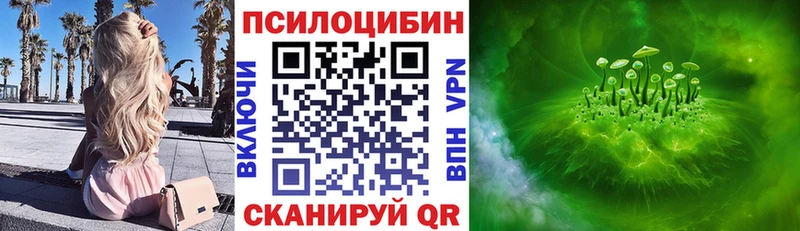 закладка Тара hydra онион Галлюциногенные грибы мицелий