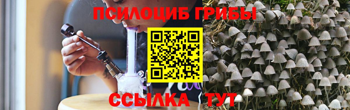 Галлюциногенные грибы Magic Shrooms Тара