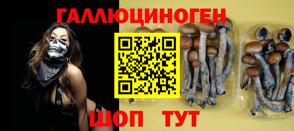 Псилоцибиновые грибы мухоморы Тара